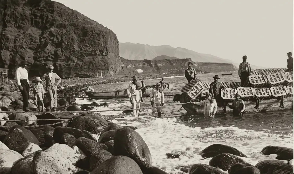 Empaquetados de plátanos en Tazacorte